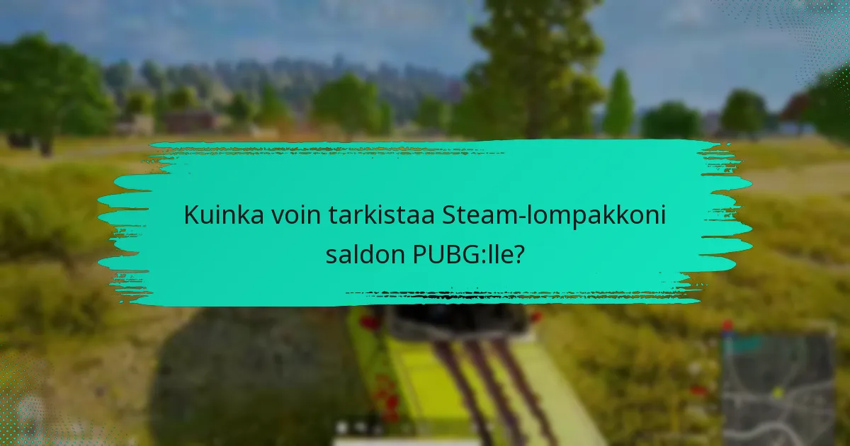 Kuinka Steam-lompakko vertautuu muihin maksutapoihin PUBG:lle?