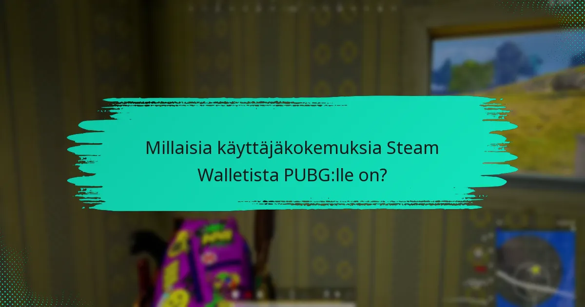 Kuinka Steam Wallet vertautuu muihin maksutapoihin PUBG:ssa?